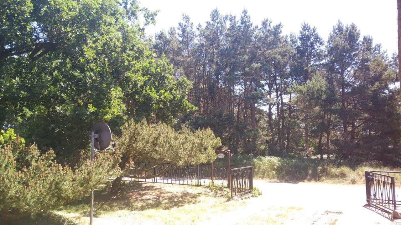 Apartmán Urlaub Bei Hauenstein Born Exteriér fotografie