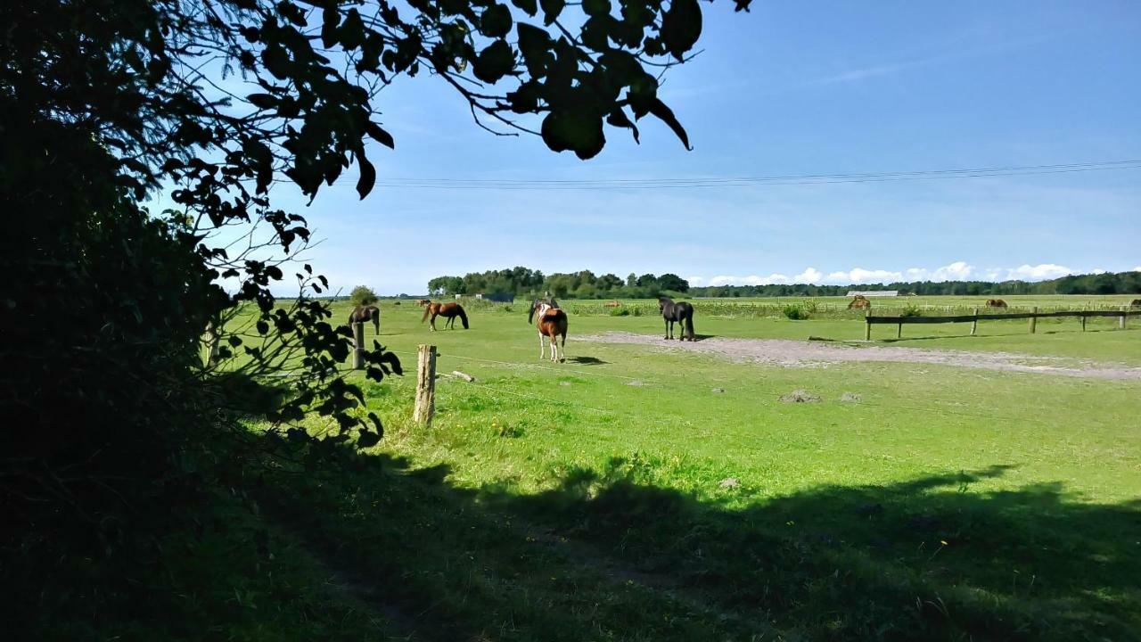 Apartmán Urlaub Bei Hauenstein Born Exteriér fotografie