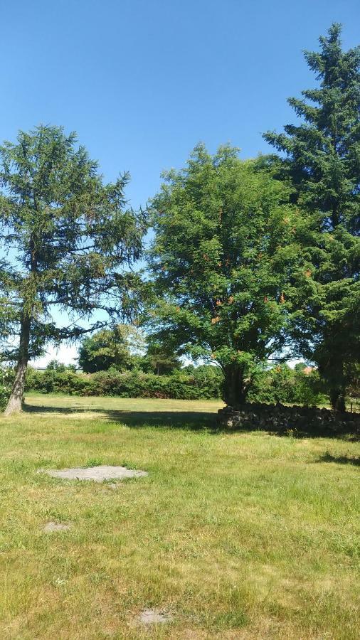 Apartmán Urlaub Bei Hauenstein Born Exteriér fotografie