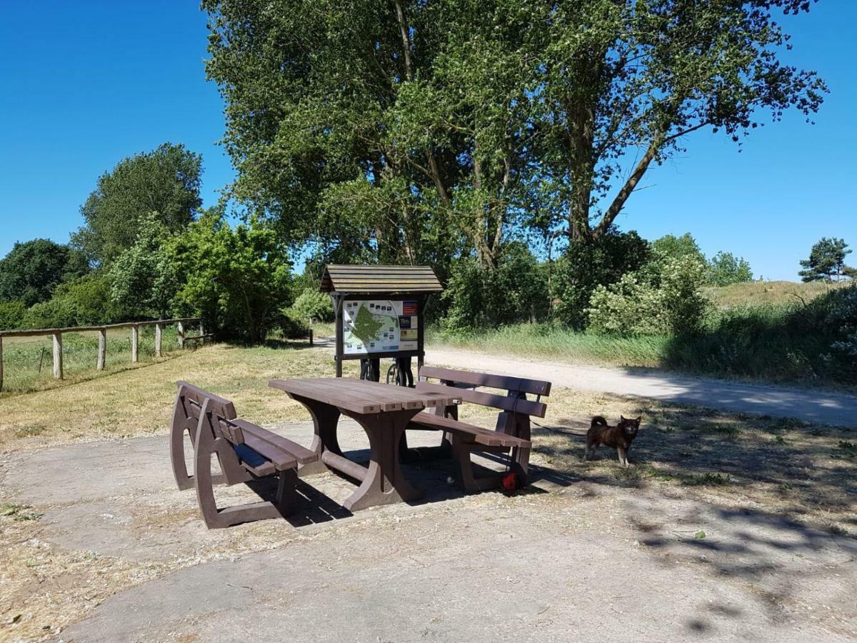 Apartmán Urlaub Bei Hauenstein Born Exteriér fotografie